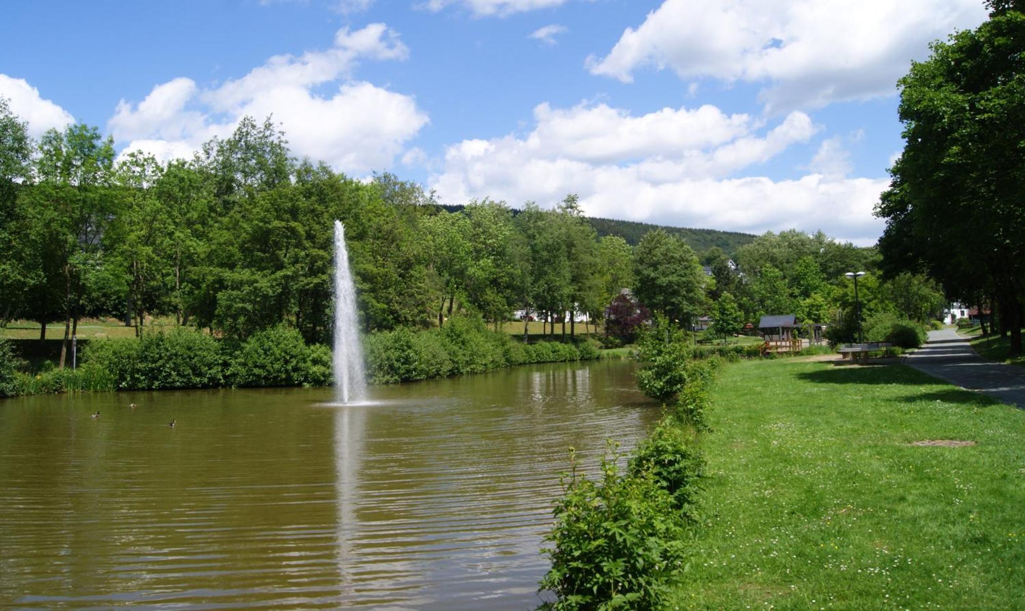 Bed And Breakfast Am Knittenberg Winterberg Exterior foto